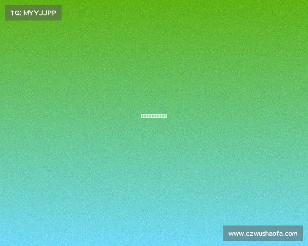 体育赛事执行工作内容